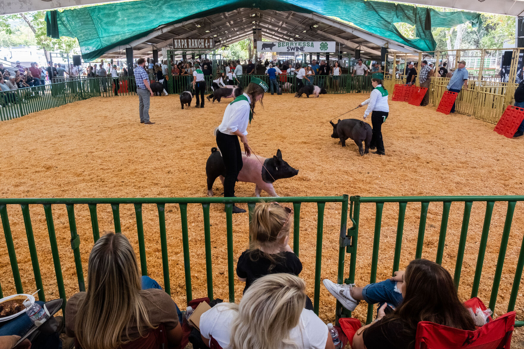 4-H at the Fair